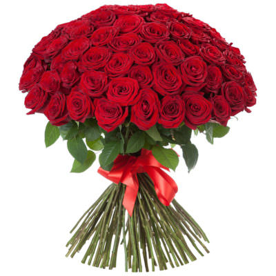 Розы Узбекистан красные